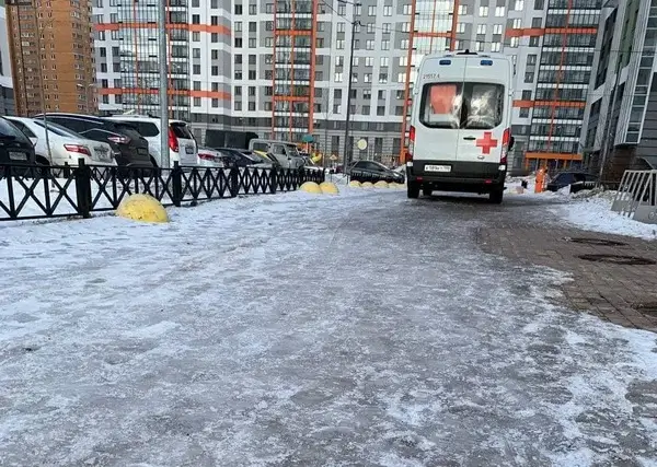 Петербургские блокадники требуют уволить допустивших ледяной коллапс коммунальщиков
