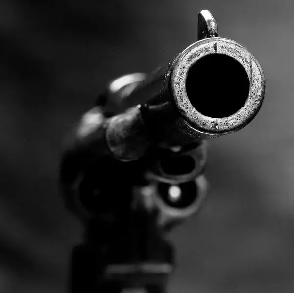 За стрельбу из травматического пистолета был задержан пьяный житель Купчино
