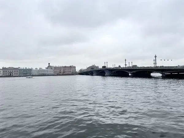 Петербург будет на связи с 9 городами на время мультимедийного проекта
