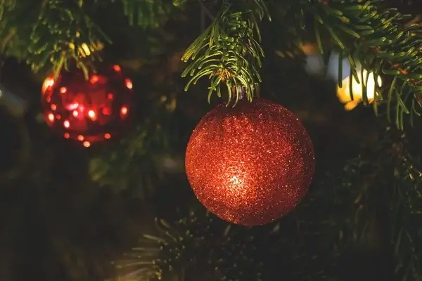 Мариуполь получил новогоднюю елку от города-побратима Санкт-Петербурга