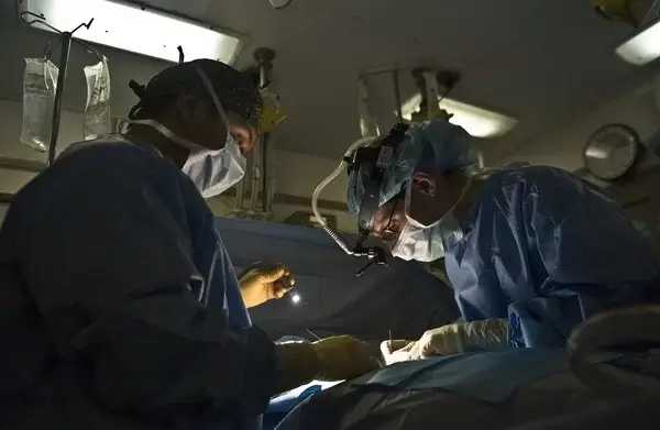 В петербургской больнице была проведена тысячная операция по пересадке костного мозга