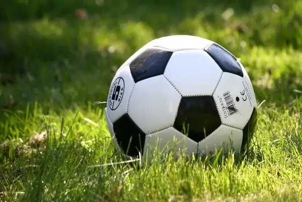 Новые футбольные мячи приобретут для спортивных школ Северной столицы
